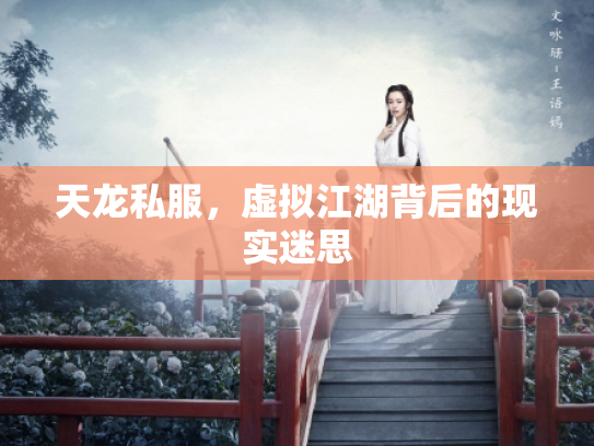 天龙私服，虚拟江湖背后的现实迷思