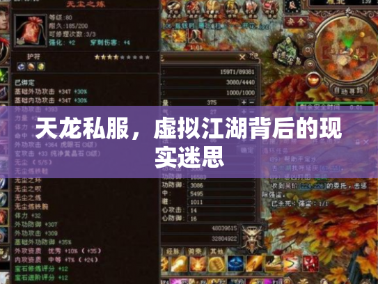 天龙私服，虚拟江湖背后的现实迷思