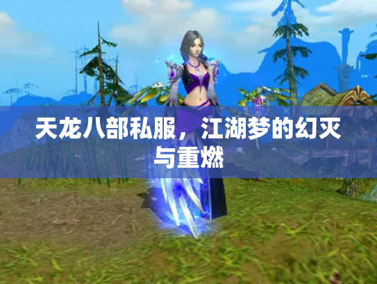 天龙八部私服，江湖梦的幻灭与重燃