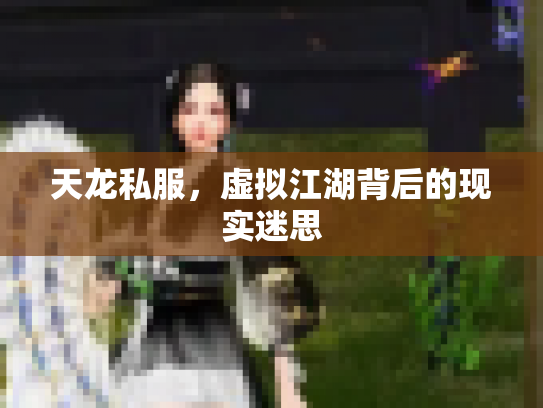 天龙私服，虚拟江湖背后的现实迷思