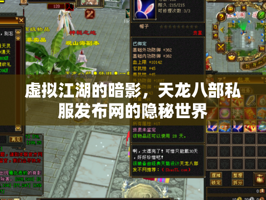 虚拟江湖的暗影，天龙八部私服发布网的隐秘世界