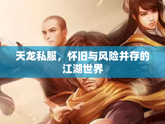 天龙私服，怀旧与风险并存的江湖世界