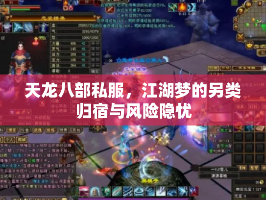 天龙八部私服，江湖梦的另类归宿与风险隐忧
