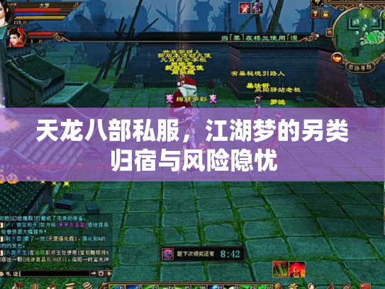 天龙八部私服，江湖梦的另类归宿与风险隐忧