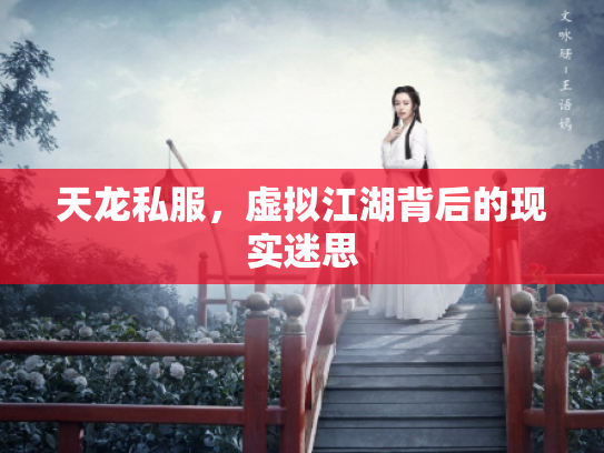 天龙私服，虚拟江湖背后的现实迷思