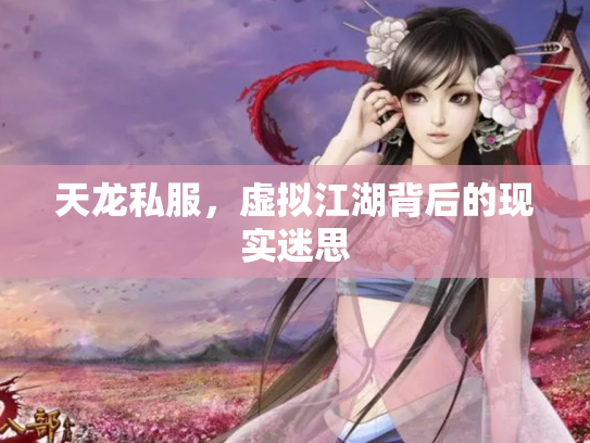 天龙私服，虚拟江湖背后的现实迷思