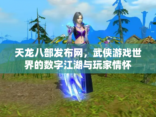 天龙八部发布网，武侠游戏世界的数字江湖与玩家情怀