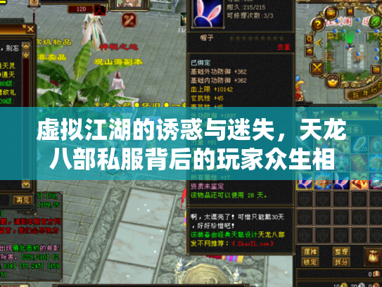 虚拟江湖的诱惑与迷失，天龙八部私服背后的玩家众生相