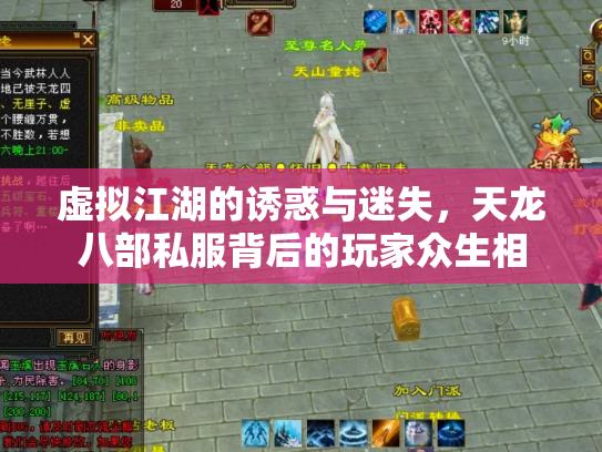 虚拟江湖的诱惑与迷失，天龙八部私服背后的玩家众生相