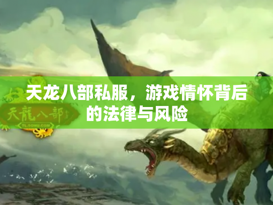 天龙八部私服，游戏情怀背后的法律与风险