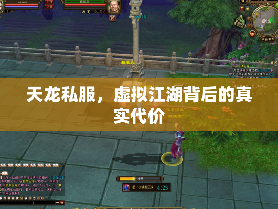 天龙私服，虚拟江湖背后的真实代价