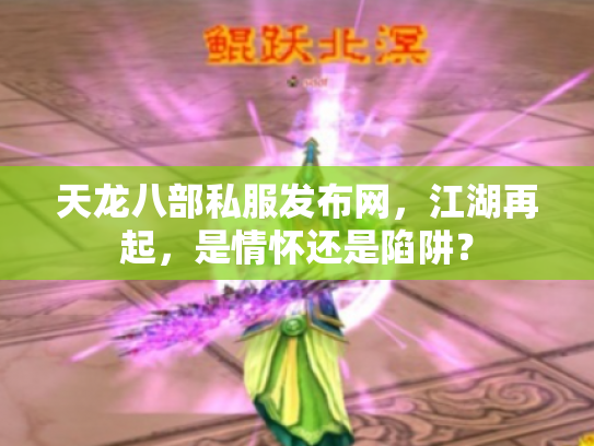 天龙八部私服发布网，江湖再起，是情怀还是陷阱？