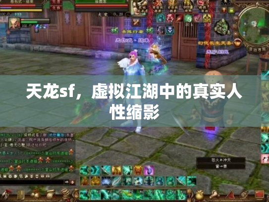 天龙sf，虚拟江湖中的真实人性缩影