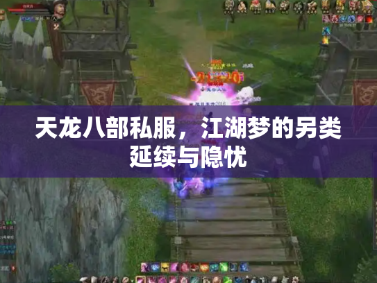 天龙八部私服，江湖梦的另类延续与隐忧