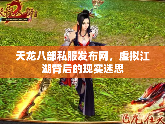 天龙八部私服发布网，虚拟江湖背后的现实迷思