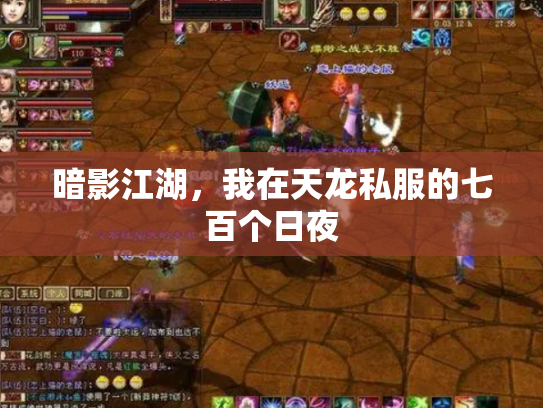 暗影江湖，我在天龙私服的七百个日夜