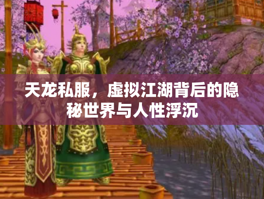 天龙私服，虚拟江湖背后的隐秘世界与人性浮沉