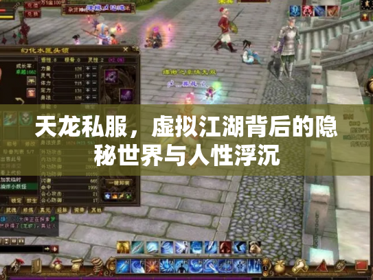 天龙私服，虚拟江湖背后的隐秘世界与人性浮沉