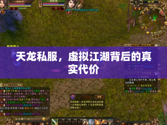天龙私服，虚拟江湖背后的真实代价