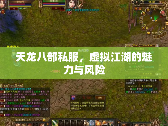 天龙八部私服，虚拟江湖的魅力与风险