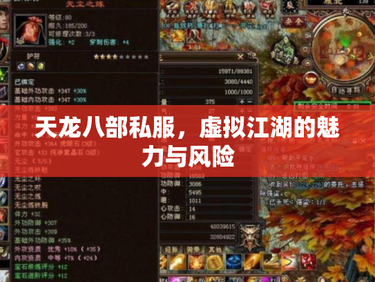 天龙八部私服，虚拟江湖的魅力与风险