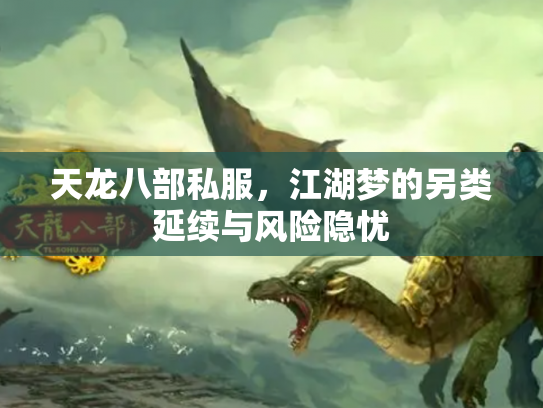 天龙八部私服，江湖梦的另类延续与风险隐忧