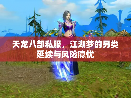 天龙八部私服，江湖梦的另类延续与风险隐忧