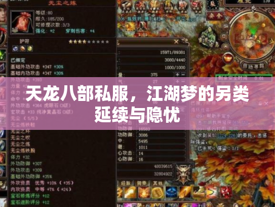 天龙八部私服，江湖梦的另类延续与隐忧