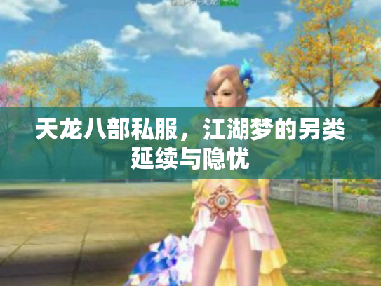 天龙八部私服，江湖梦的另类延续与隐忧