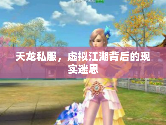 天龙私服，虚拟江湖背后的现实迷思