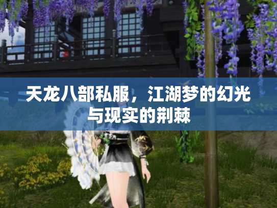 天龙八部私服，江湖梦的幻光与现实的荆棘