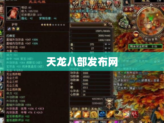 天龙八部发布网