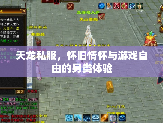 天龙私服，怀旧情怀与游戏自由的另类体验