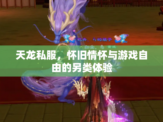 天龙私服，怀旧情怀与游戏自由的另类体验