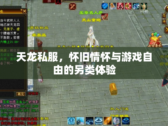 天龙私服，怀旧情怀与游戏自由的另类体验