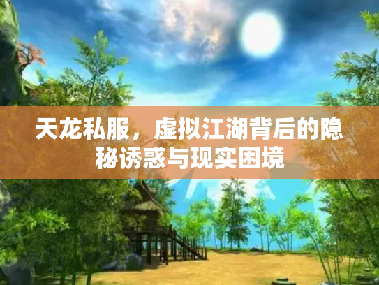 天龙私服，虚拟江湖背后的隐秘诱惑与现实困境
