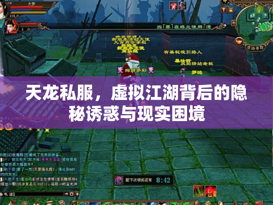天龙私服，虚拟江湖背后的隐秘诱惑与现实困境