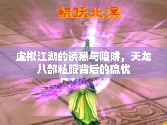 虚拟江湖的诱惑与陷阱，天龙八部私服背后的隐忧