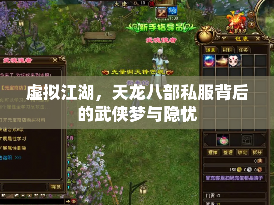 虚拟江湖，天龙八部私服背后的武侠梦与隐忧