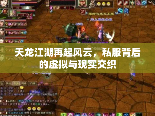 天龙江湖再起风云，私服背后的虚拟与现实交织