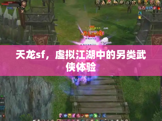 天龙sf，虚拟江湖中的另类武侠体验