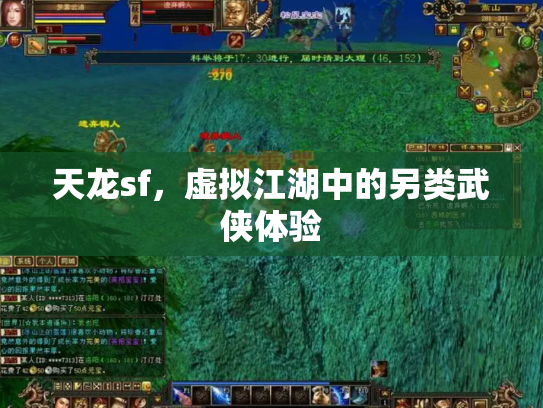 天龙sf，虚拟江湖中的另类武侠体验