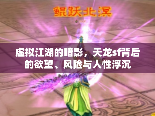虚拟江湖的暗影，天龙sf背后的欲望、风险与人性浮沉