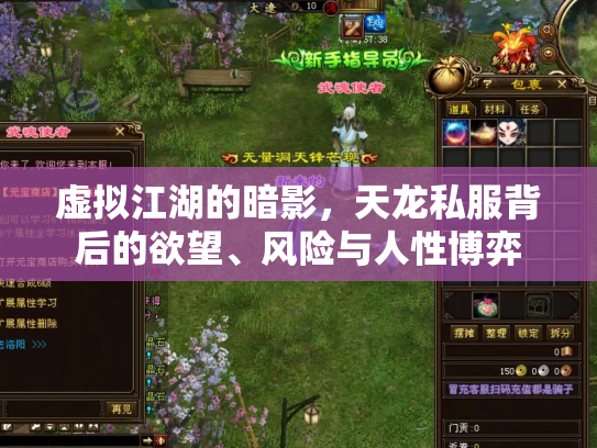 虚拟江湖的暗影，天龙私服背后的欲望、风险与人性博弈