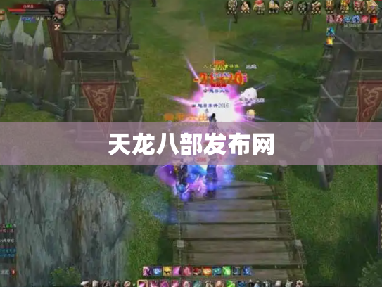 天龙八部发布网