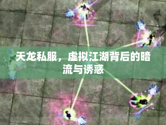 天龙私服，虚拟江湖背后的暗流与诱惑