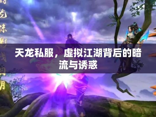 天龙私服，虚拟江湖背后的暗流与诱惑