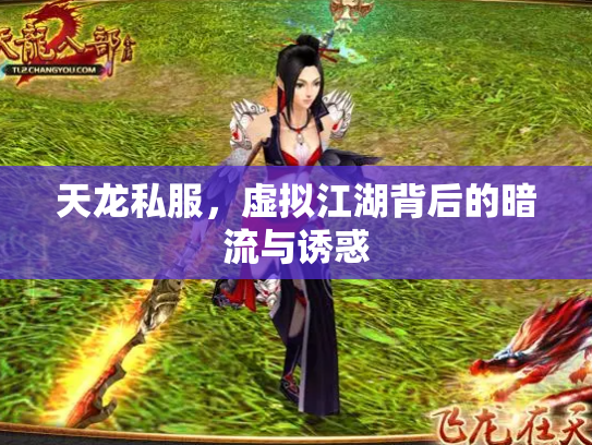 天龙私服，虚拟江湖背后的暗流与诱惑