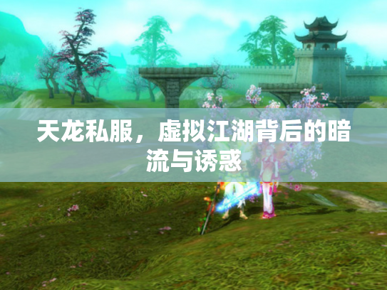 天龙私服，虚拟江湖背后的暗流与诱惑