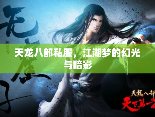 天龙八部私服，江湖梦的幻光与暗影